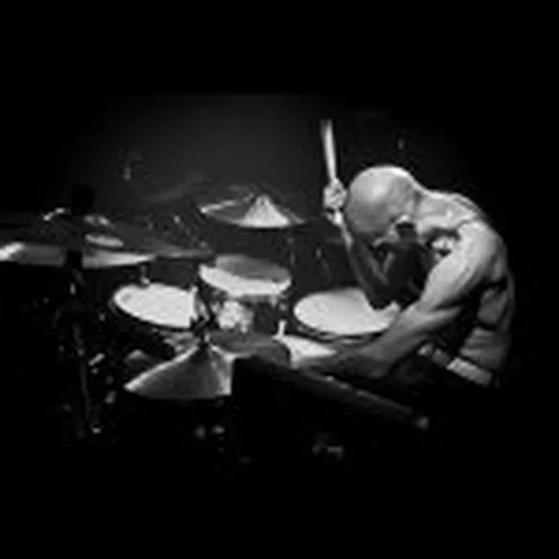 @joetomino profile image