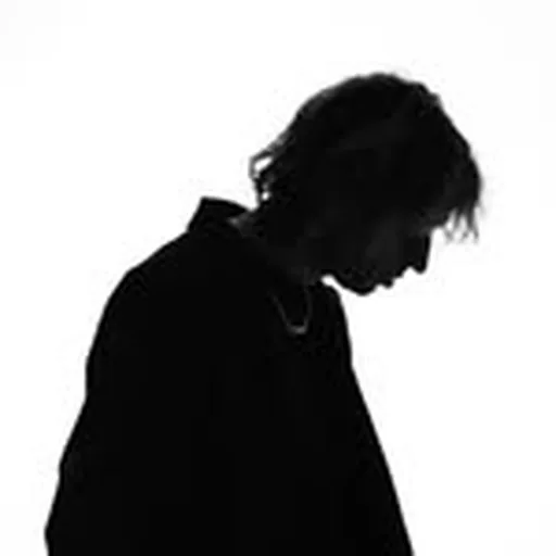 @johanlenox profile image