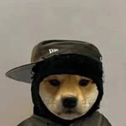 @johnbwtf profile image