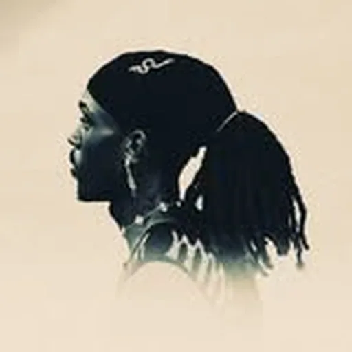 @johnnybrackins profile image