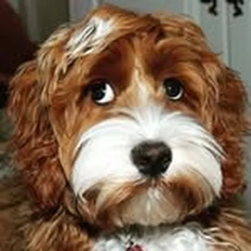 @jolenethedollydoodle profile image