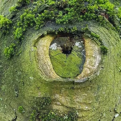 @jose_tejeda_i_real profile image