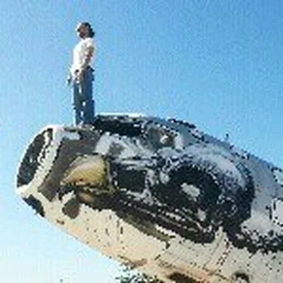 @joshuabgeyer profile image