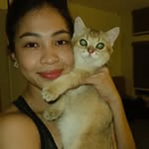 @joymeoww profile image