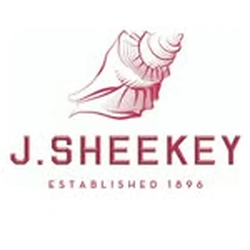 @jsheekeyldn profile image