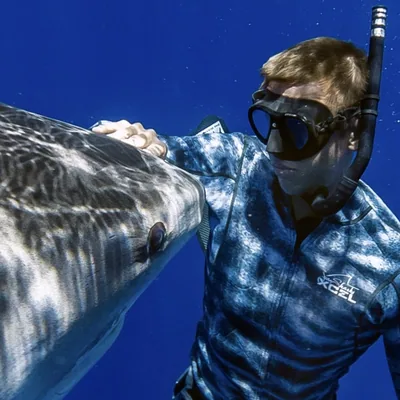 @juansharks profile image