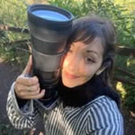 @julimaccarino profile image