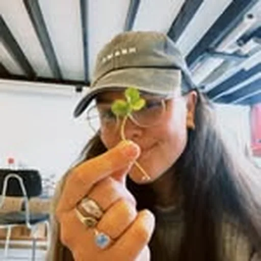 @julohaf profile image