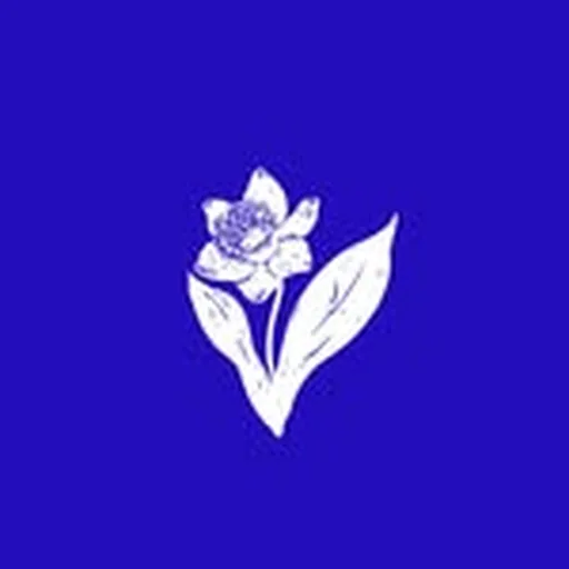 @june.eatery profile image