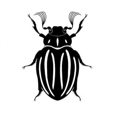 @junebugtattoos profile image