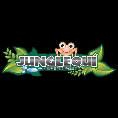 @junglequipr profile image
