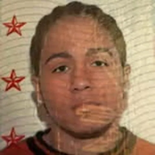 @juniormetra profile image