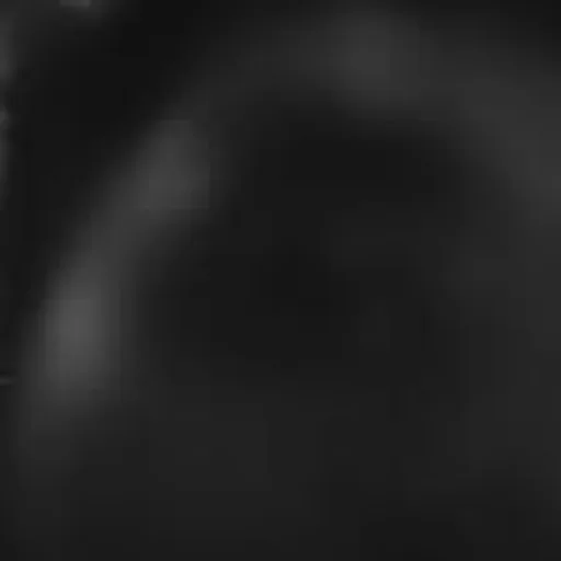 @juuubar profile image