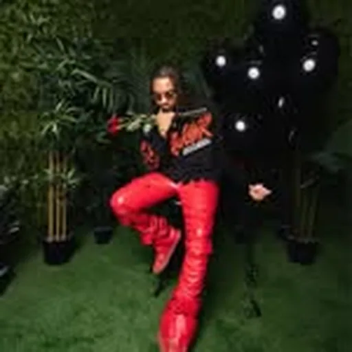 @kadefresco profile image