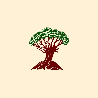 @kadiricollective profile image