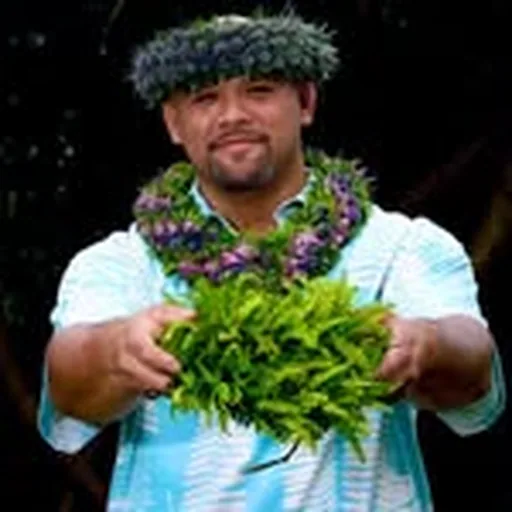 @kahelemele profile image