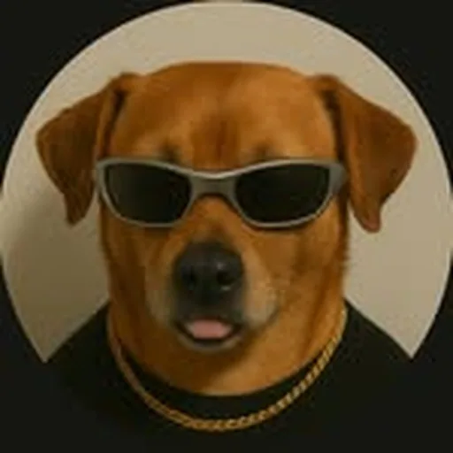 @kallerovanpera profile image