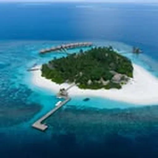 @kandolhu profile image