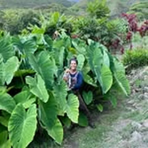 @kapunafarms profile image