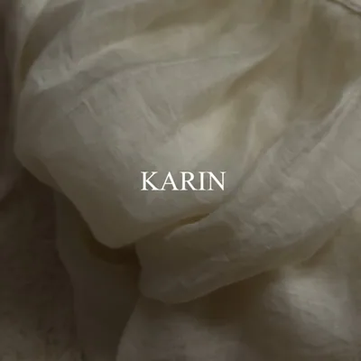 @karin_seoul profile image