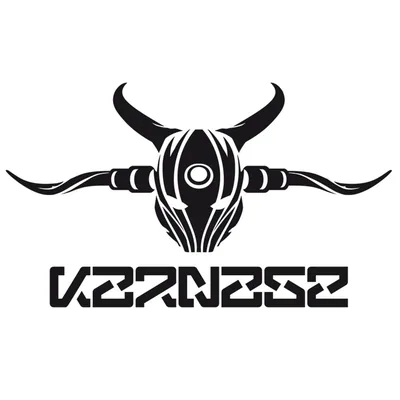 @karnagerecords profile image