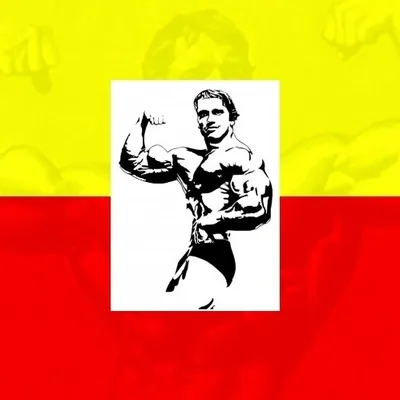 @karnataka_bodybuilding_news profile image
