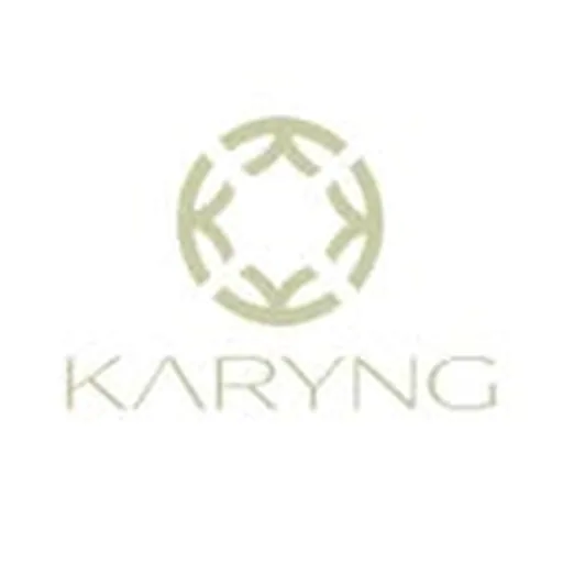 @karyngskincare profile image