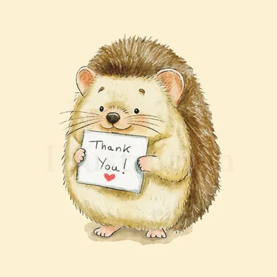 @kateteaillustration profile image