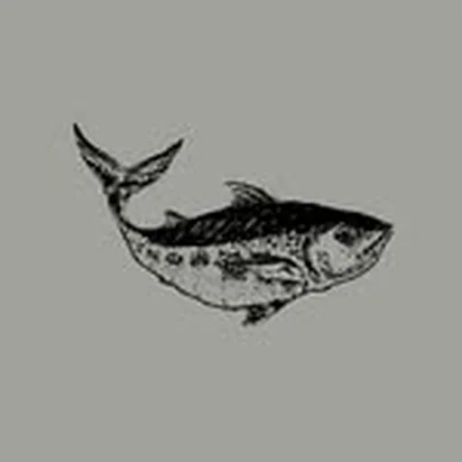 @katorestaurant profile image