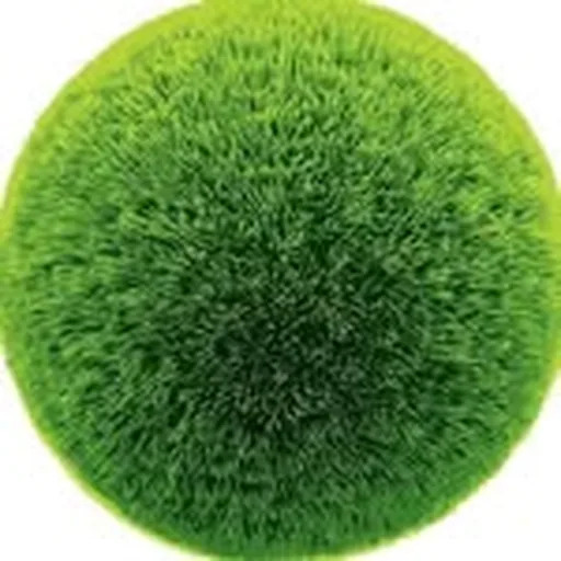 @kazzlaidlaw profile image