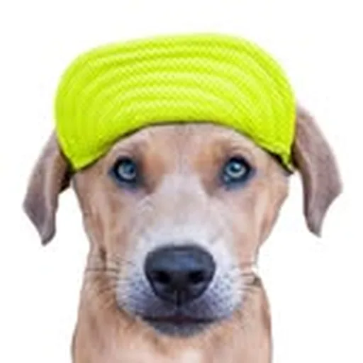 @keepingfinn profile image