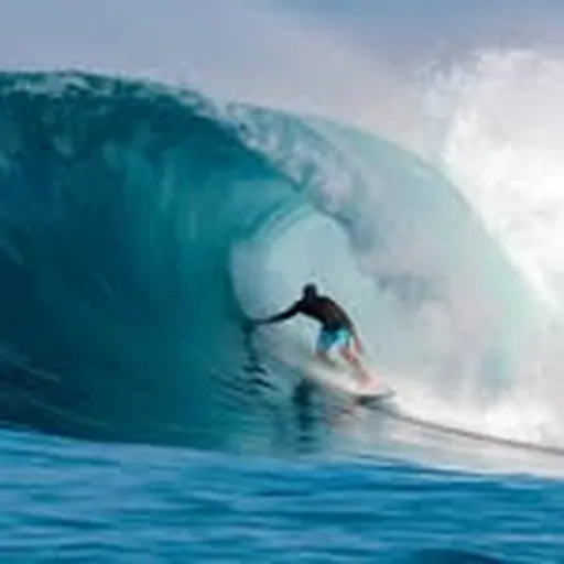 @kellyslater profile image
