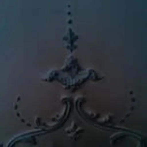 @kelora_ profile image
