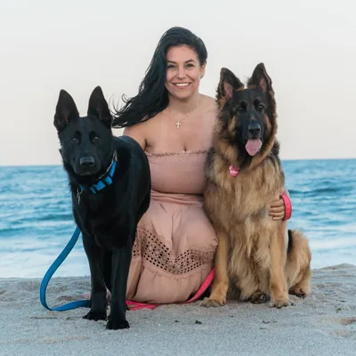 @kelsiethegsd profile image
