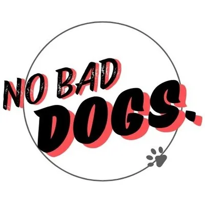 @kenji.dogtrainer profile image