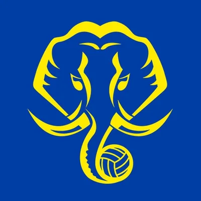 @keralablasters profile image