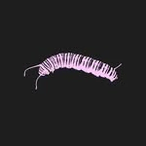 @ketarpillar profile image
