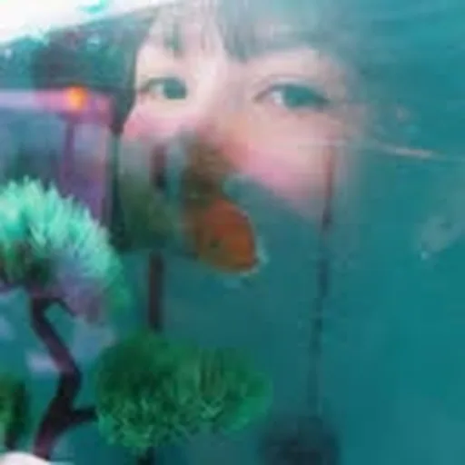 @khinggs profile image