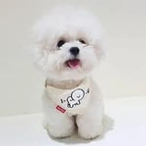 @kimskennel profile image