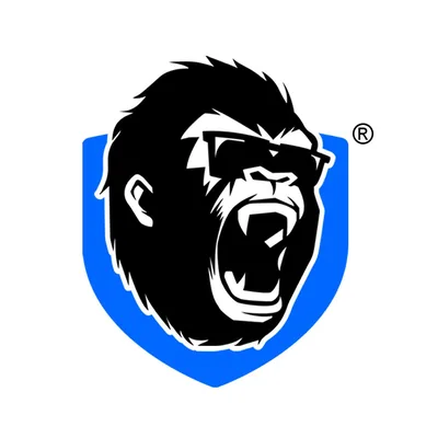 @kingkongfitness.au profile image