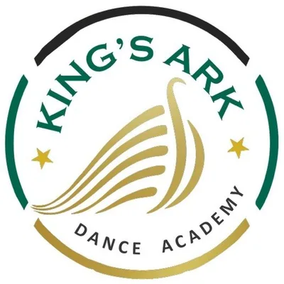 @kingsarkdance profile image