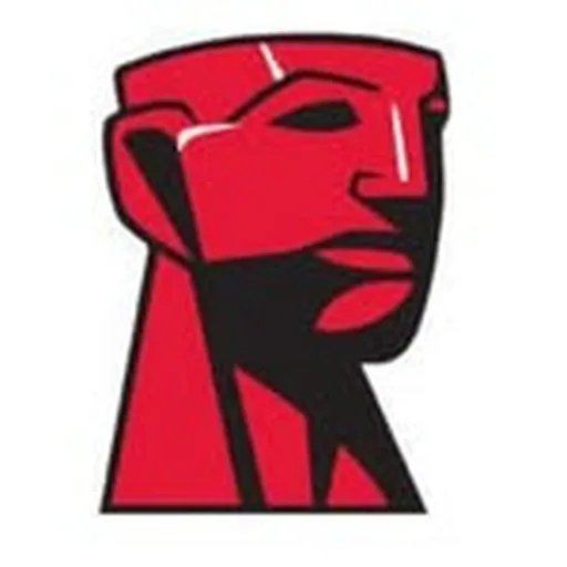 @kingstontechnology profile image