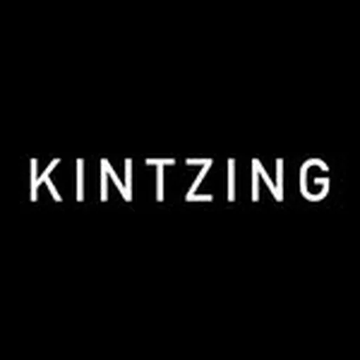 @kintzing_ profile image