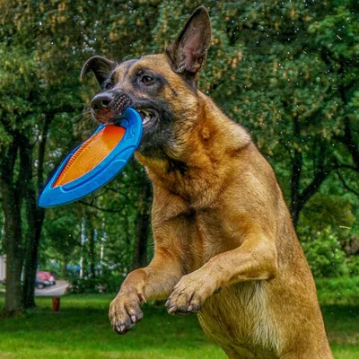 @kirademalinois profile image