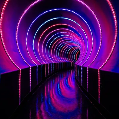 @kisskissnightclub profile image