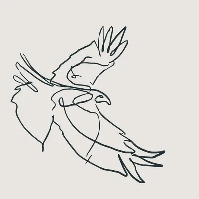 @kiteredhart profile image