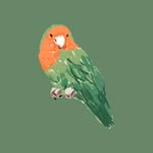 @kokobybakan profile image