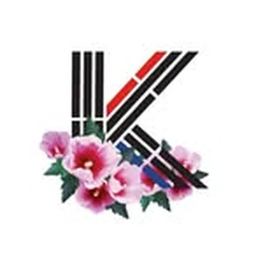 @korelimited profile image