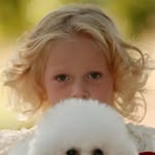 @kravchh profile image