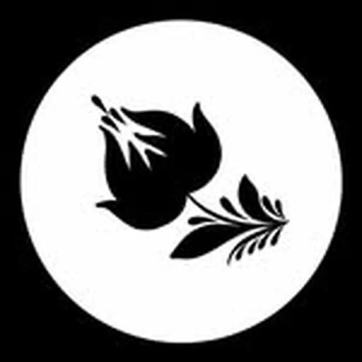 @kryvolap.academy profile image